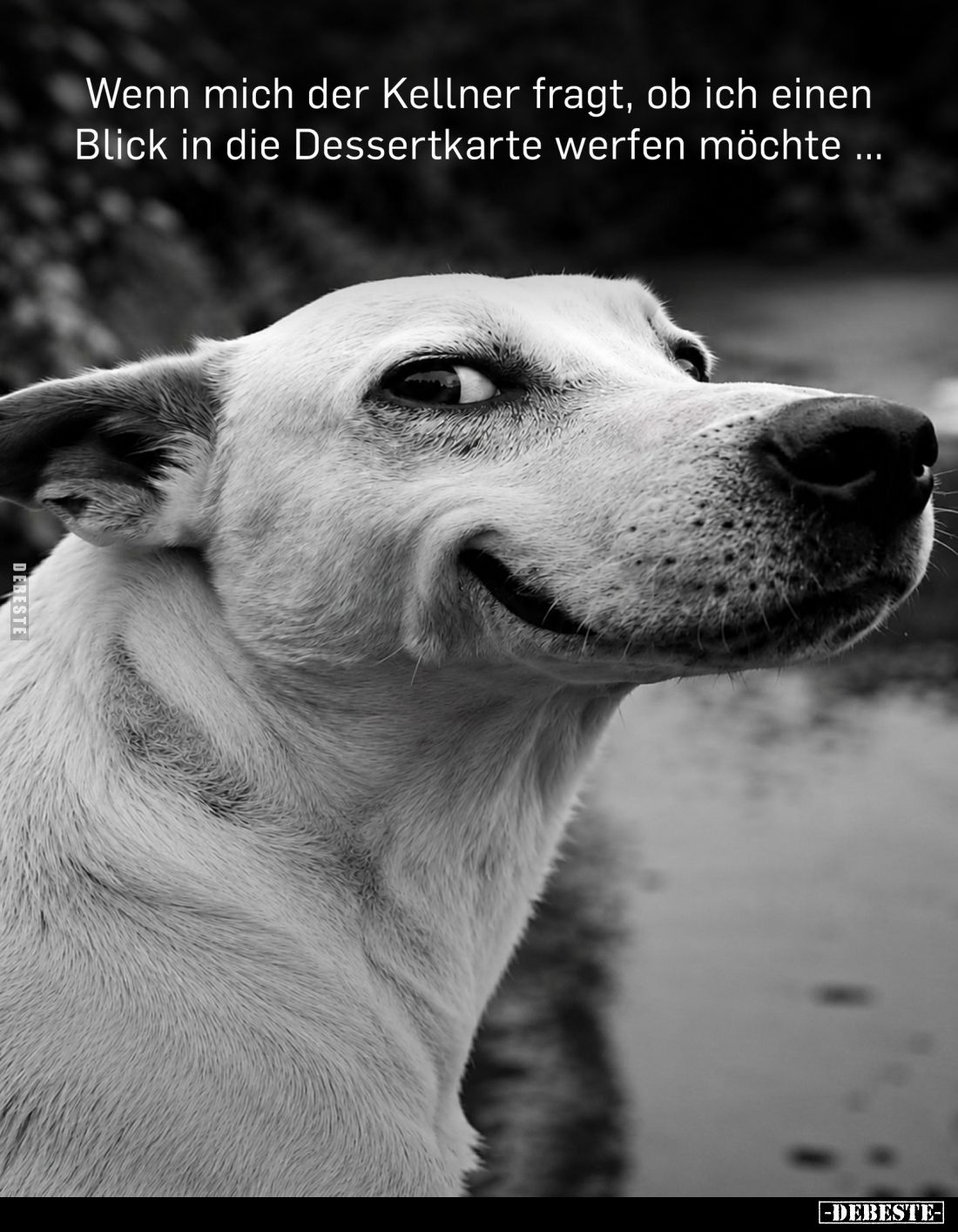 Wenn mich der Kellner fragt, ob ich einen Blick in die Dessertkarte werfen möchte