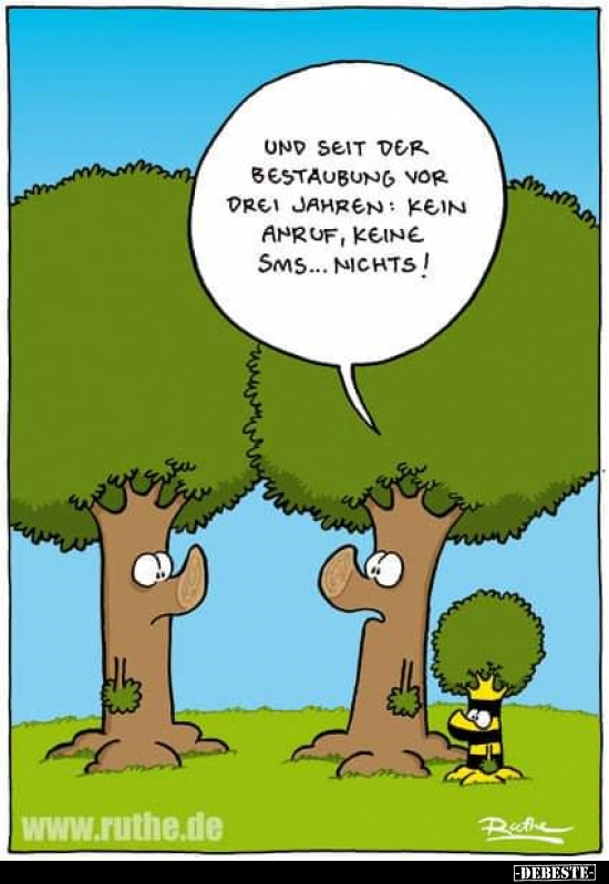 Und seit der Bestäubung vor drei Jahren: Kein Anruf, keine..