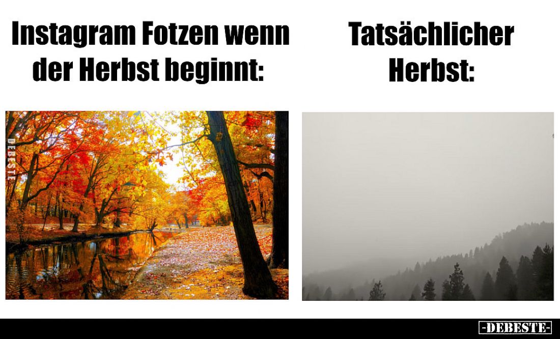 Instagram Fotzen wenn
der Herbst beginnt:

Tatsächlicher
Herbst: