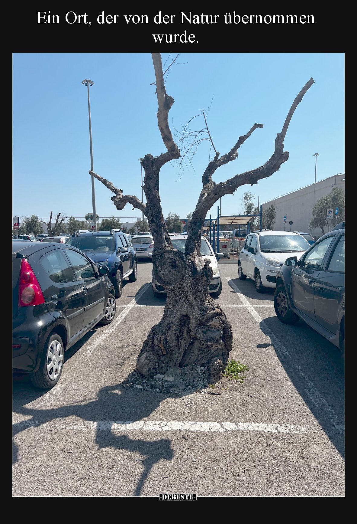 Ein Ort, der von der Natur übernommen wurde.