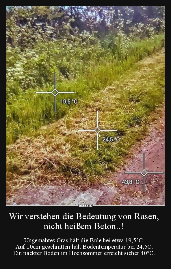 Wir verstehen die Bedeutung von Rasen, nicht heißem.. - Lustige Bilder | DEBESTE.de
