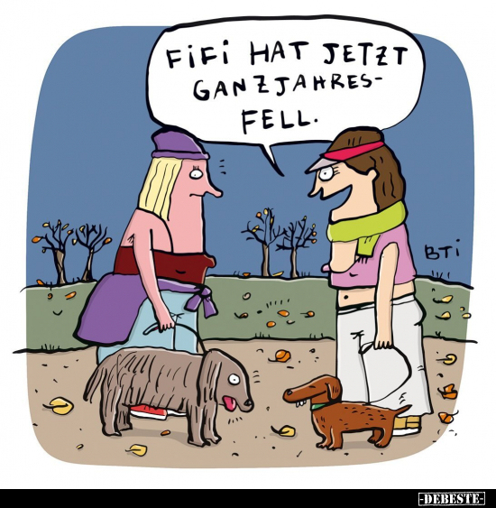 Fifi hat jetzt Ganzjahresfell... - Lustige Bilder | DEBESTE.de