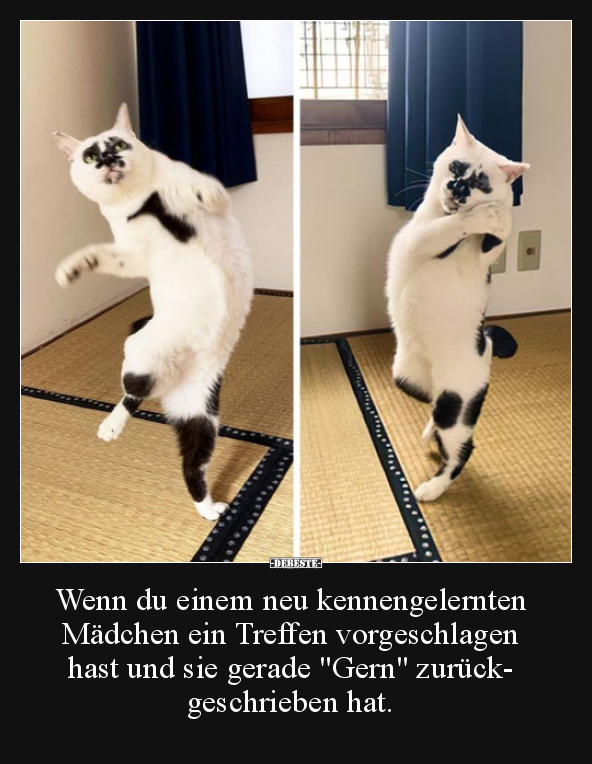 Wenn du einem neu kennengelernten Mädchen ein Treffen..