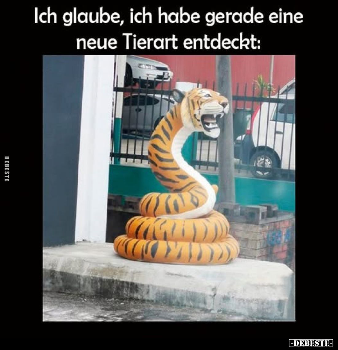 Ich glaube, ich habe gerade eine neue Tierart entdeckt: