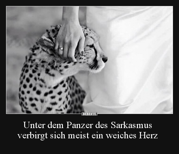 Unter dem Panzer des Sarkasmus verbirgt sich meist ein.. - Lustige Bilder | DEBESTE.de
