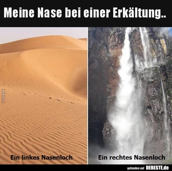 Meine Nase bei einer Erkältung...