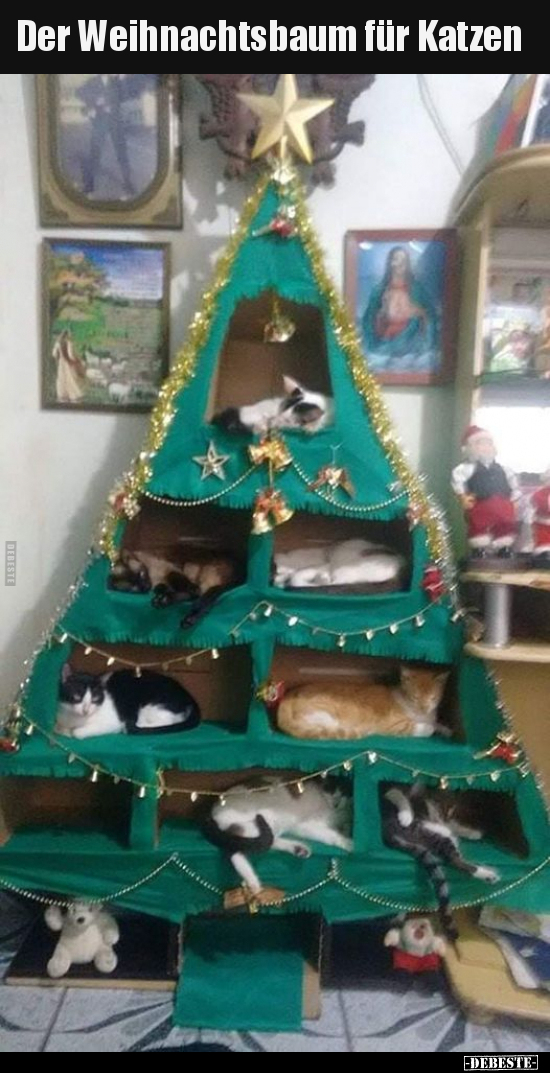 Der Weihnachtsbaum für Katzen.. - Lustige Bilder | DEBESTE.de
