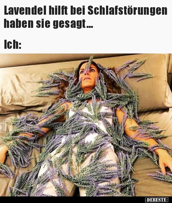 Lavendel hilft bei Schlafstörungen haben sie.. - Lustige Bilder | DEBESTE.de