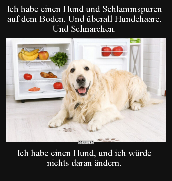Ich habe einen Hund und Schlammspuren auf dem Boden.. - Lustige Bilder | DEBESTE.de