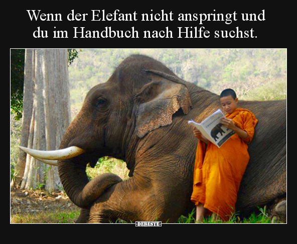 Wenn der Elefant nicht anspringt und du im Handbuch nach.. - Lustige Bilder | DEBESTE.de
