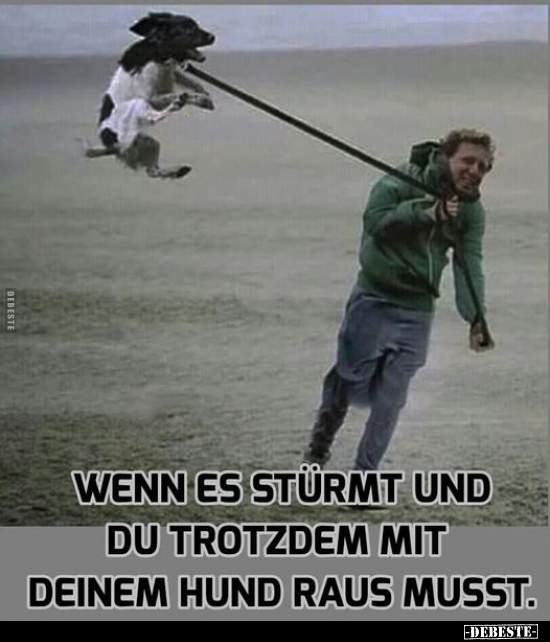 Wenn es stürmt und du.. - Lustige Bilder | DEBESTE.de