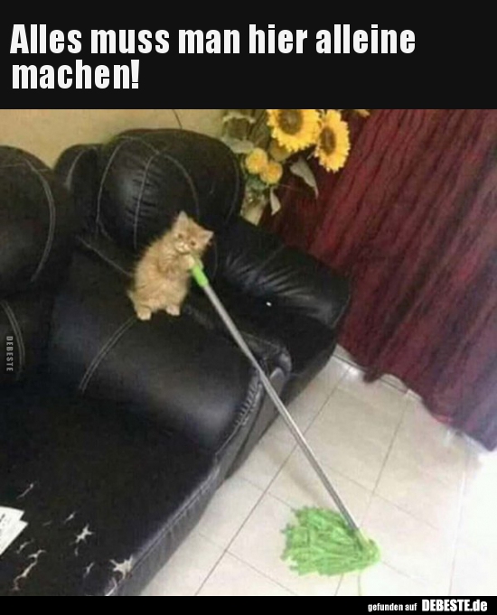 Alles muss man hier alleine machen!..