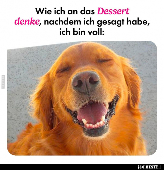 Wie ich an das Dessert denke.. - Lustige Bilder | DEBESTE.de