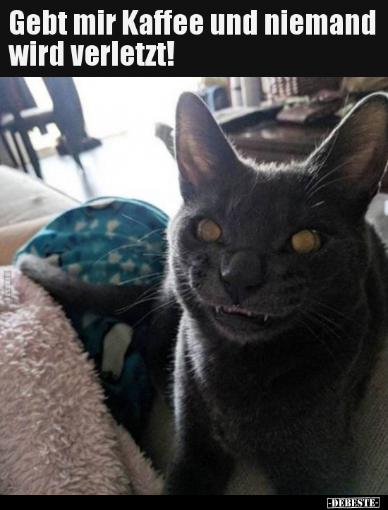 Gebt mir Kaffee und niemand wird verletzt!..