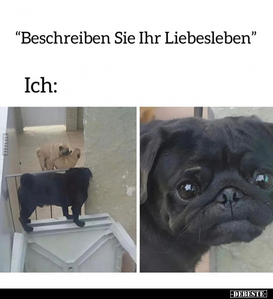 "Beschreiben Sie Ihr Liebesleben".. - Lustige Bilder | DEBESTE.de