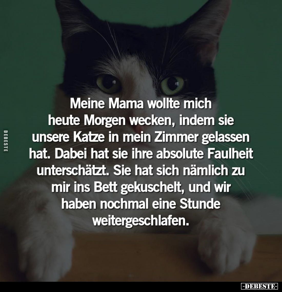 Meine Mama wollte mich heute Morgen wecken, indem sie unsere Katze in mein Zimmer gelassen hat. Dabei hat sie ihre absolute F...