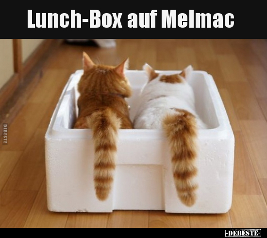 Lunch-Box auf Melmac.. - Lustige Bilder | DEBESTE.de