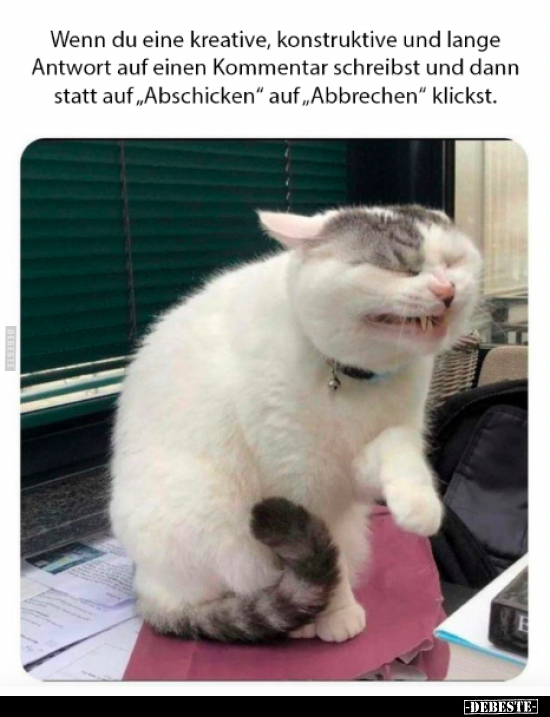 Wenn du eine kreative, konstruktive und lange Antwort.. - Lustige Bilder | DEBESTE.de