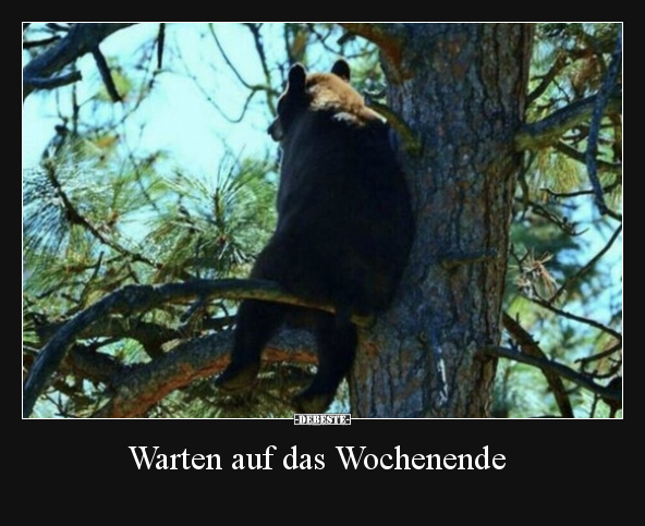 Warten auf das Wochenende.. - Lustige Bilder | DEBESTE.de