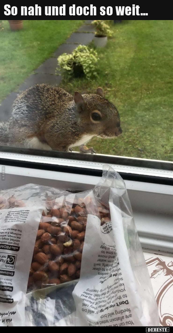 So nah und doch so weit...