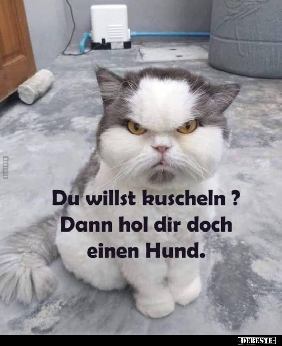 Du willst kuscheln? Dann hol dir doch einen Hund... - Lustige Bilder | DEBESTE.de