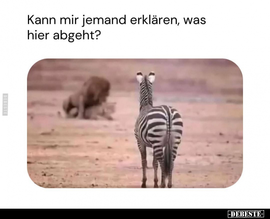 Kann mir jemand erklären, was hier abgeht?