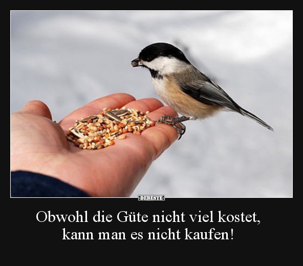 Obwohl die Güte nicht viel kostet,
kann man es nicht kaufen! - Lustige Bilder | DEBESTE.de