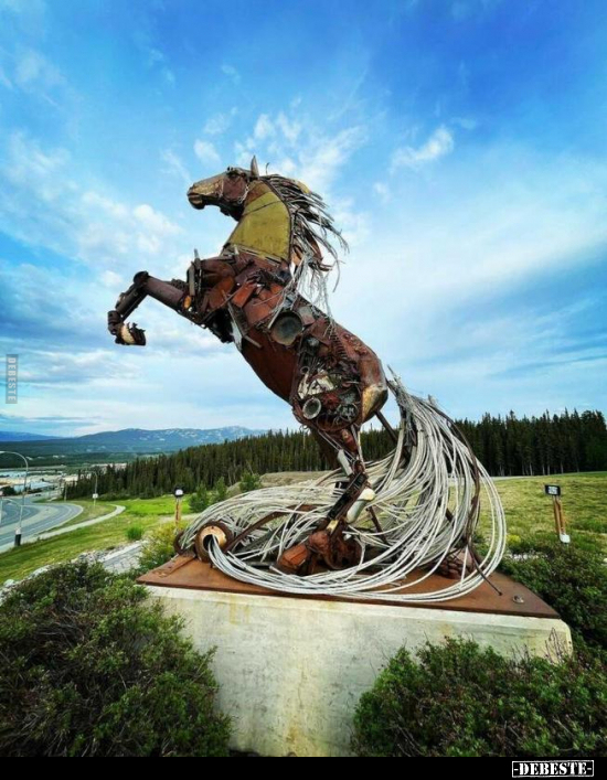  - Lustige Bilder | DEBESTE.de