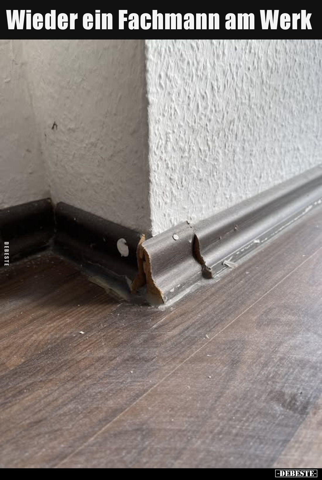 Wieder ein Fachmann am Werk