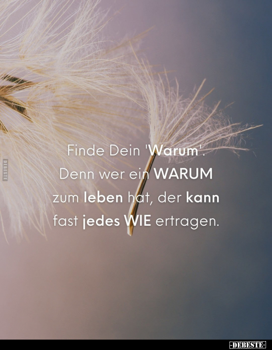 Finde Dein 'Warum'. 
Denn wer ein WARUM zum leben hat, der kann fast jedes WIE ertragen.