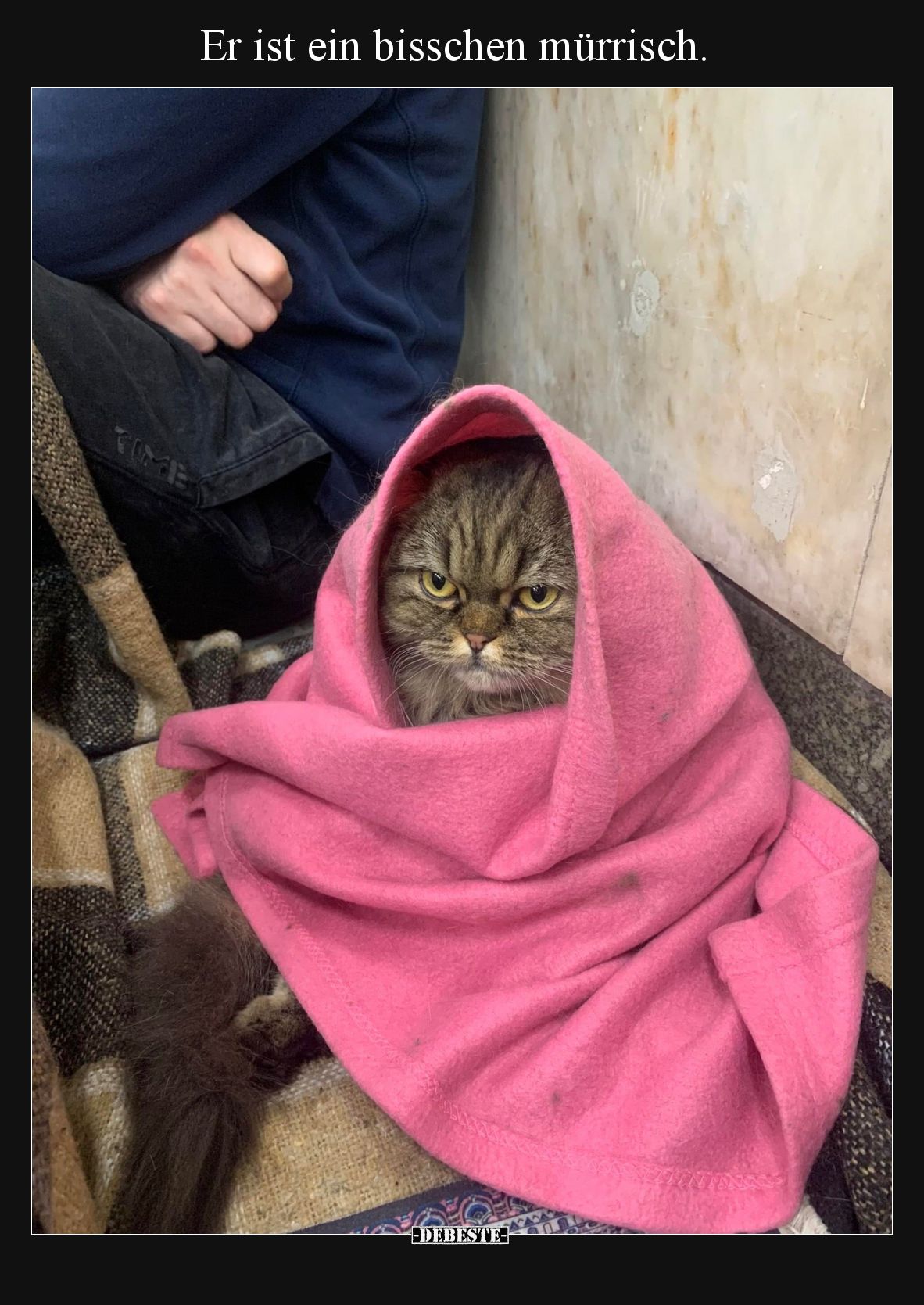 Er ist ein bisschen mürrisch.