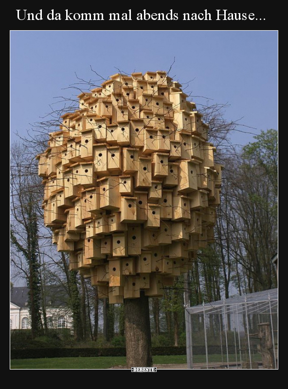 Und da komm mal abends nach Hause...