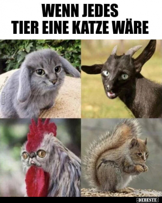 Wenn jedes Tier eine Katze wäre... - Lustige Bilder | DEBESTE.de