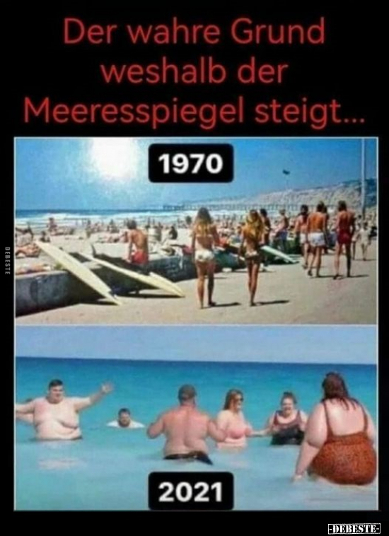 Der wahre Grund, weshalb der Meeresspiegel.. - Lustige Bilder | DEBESTE.de