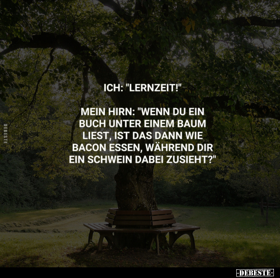 Ich: "Lernzeit!".. - Lustige Bilder | DEBESTE.de