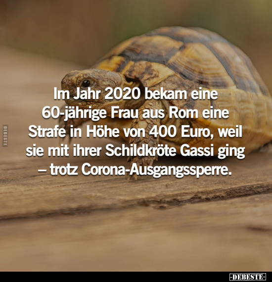 Frau, Schildkröte