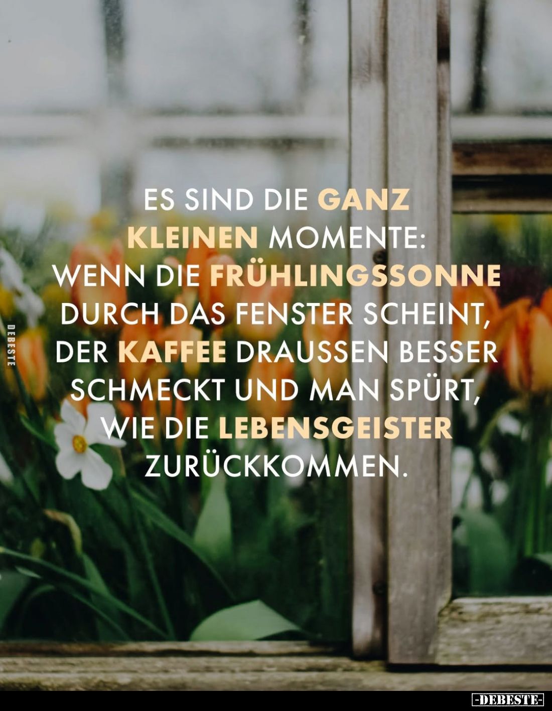 Es sind die ganz kleinen Momente... - Lustige Bilder | DEBESTE.de