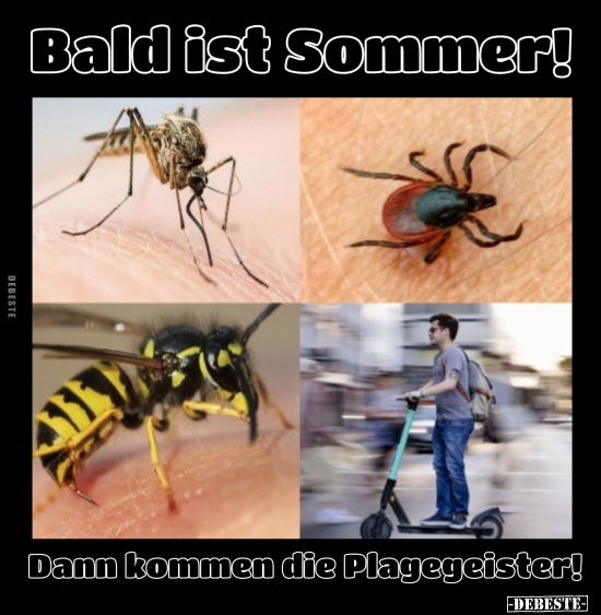 Bald ist Sommer! Dann kommen die Plagegeister!.. - Lustige Bilder | DEBESTE.de