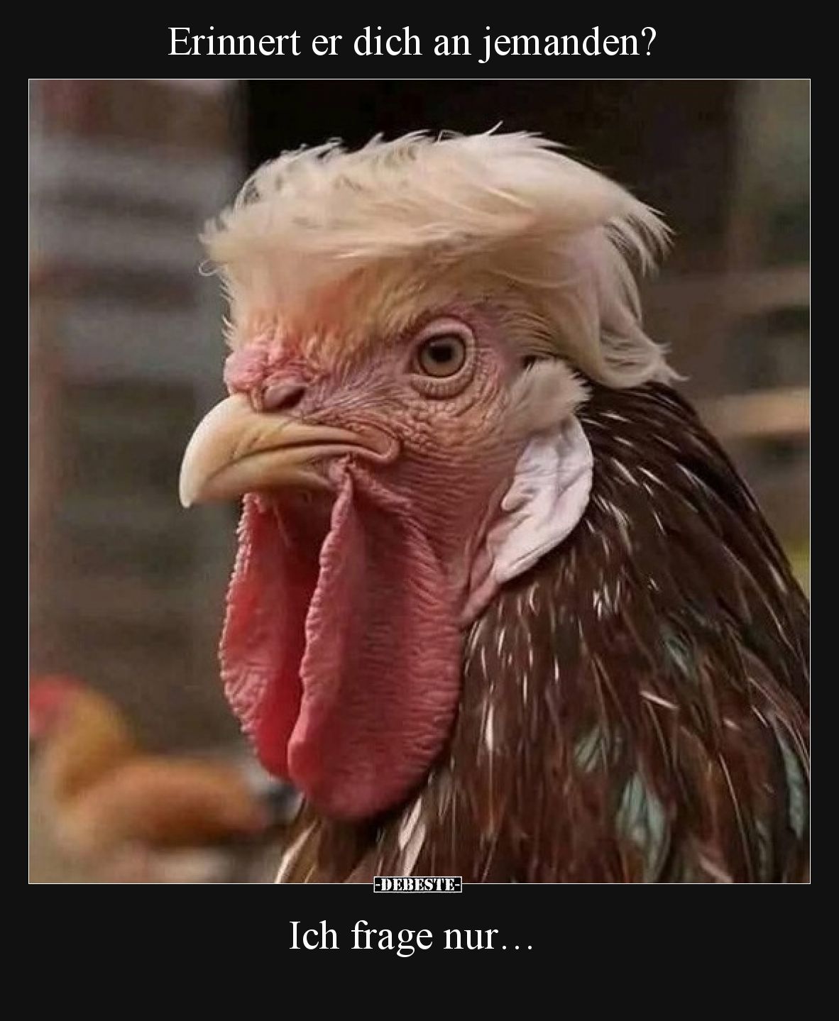Erinnert er dich an jemanden? Ich frage nur…