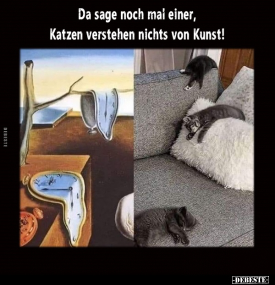 Da sage noch mal einer, Katzen verstehen nichts.. - Lustige Bilder | DEBESTE.de