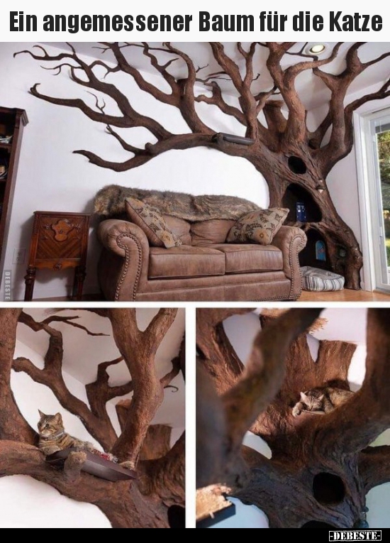 Ein angemessener Baum für die Katze..