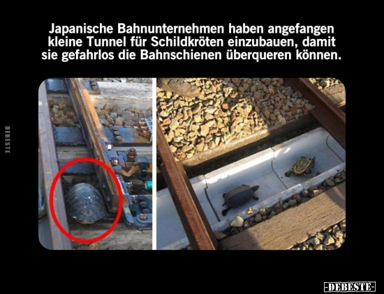 Japanische Bahnunternehmen.. - Lustige Bilder | DEBESTE.de