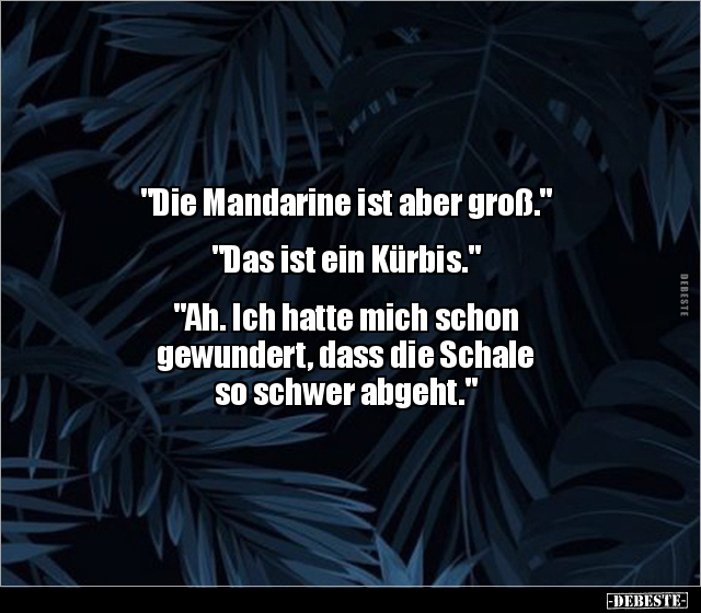 "Die Mandarine ist aber groß." "Das ist ein Kürbis..." - Lustige Bilder | DEBESTE.de