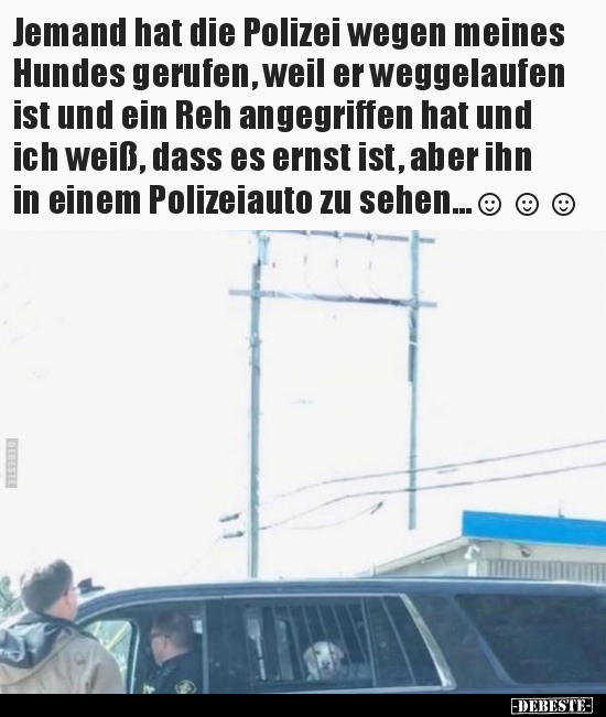 Jemand hat die Polizei wegen meines Hundes gerufen, weil er.. - Lustige Bilder | DEBESTE.de