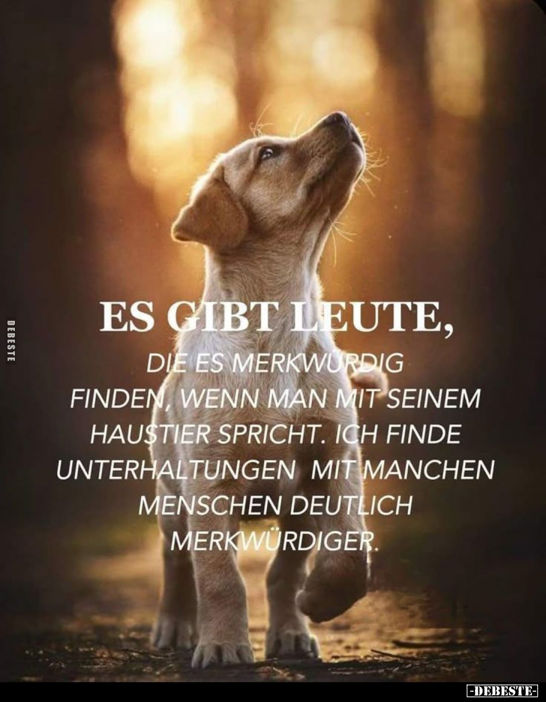 Es gibt Leute,
die es merkwürdig finden, wenn man mit seinem Haustier spricht. Ich finde Unterhaltungen mit manchen Menschen...