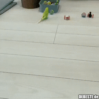  - Lustige Bilder | DEBESTE.de