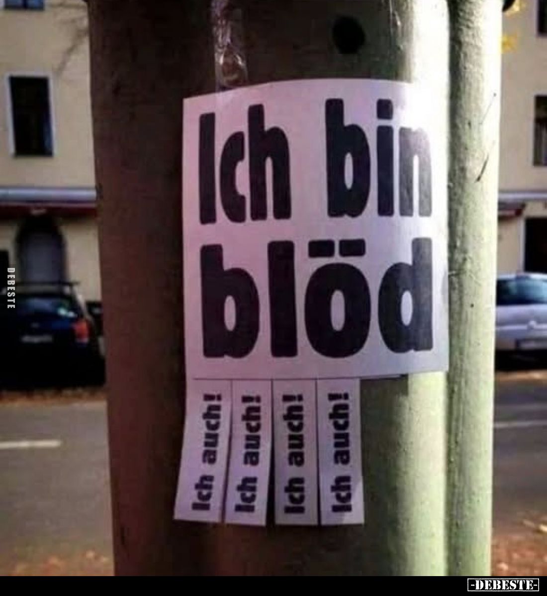Ich bin blöd! - Ich auch!