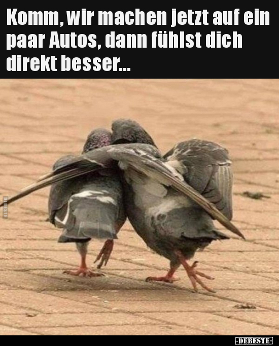 Komm, wir machen jetzt auf ein paar Autos, dann fühlst dich.. - Lustige Bilder | DEBESTE.de