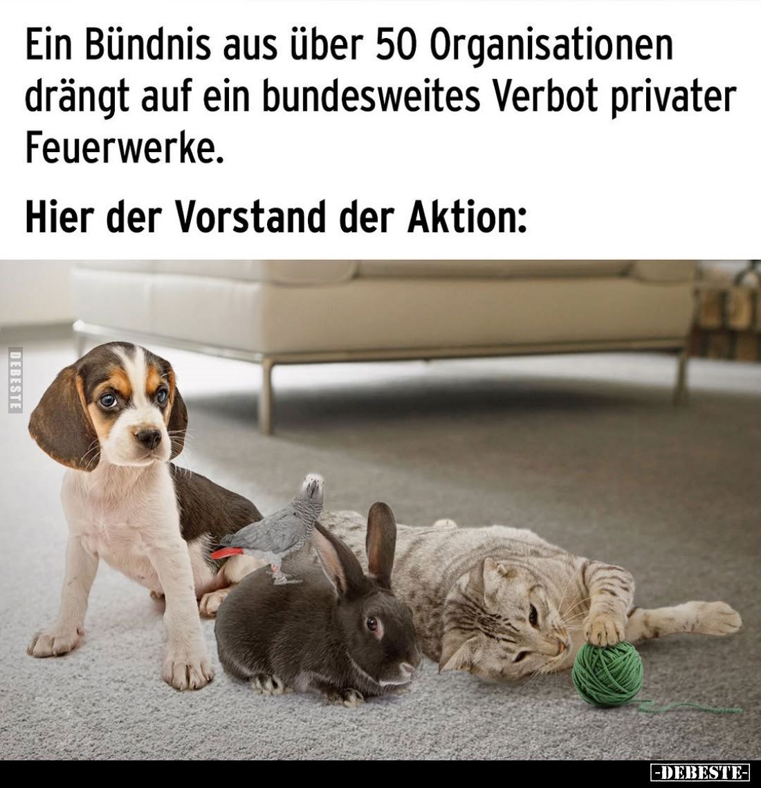 Ein Bündnis aus über 50 Organisationen drängt auf ein bundesweites Verbot privater Feuerwerke.
Hier der Vorstand der Aktion: