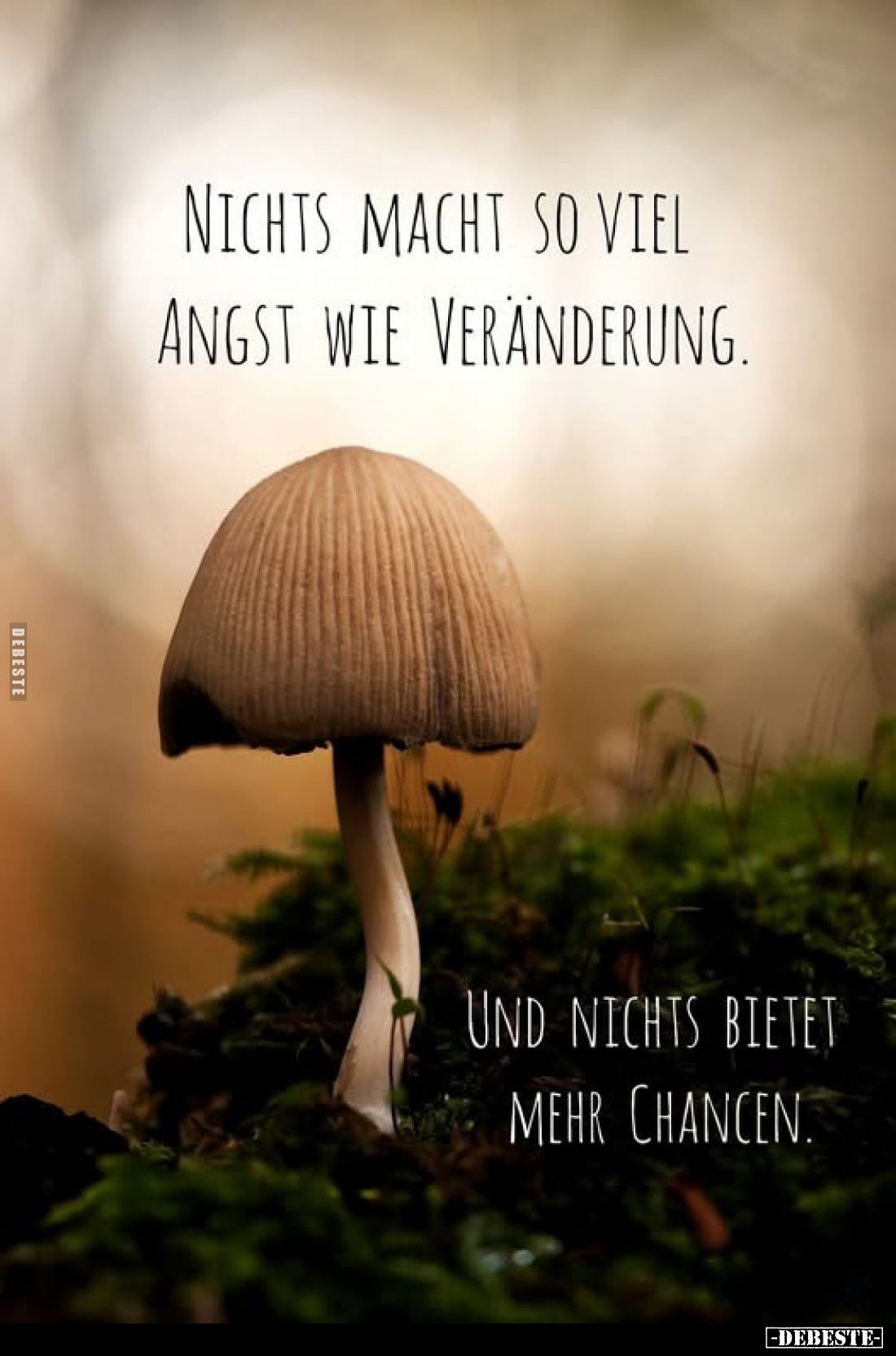 Nichts macht so viel Angst wie Veränderung. Und nichts bietet mehr Chancen.